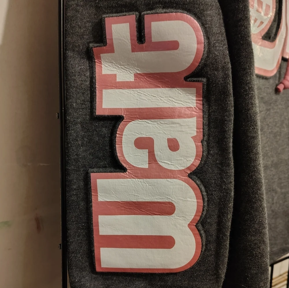 Walt Disney World Spirit Pink Gray Hoodie - Picture 3 of 9